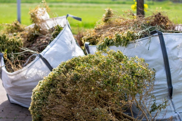 Best Appliance Removal Near Me  in Weldon, NC